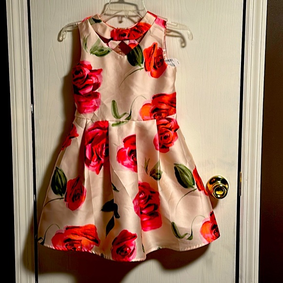 Children’s Place Girls Dress (Cute For Easter or Any Occasion), NWT’s, Size 6X/7 - Picture 1 of 11